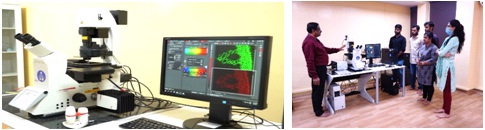 Laser Scanning Confocal Microscopy (LSCM)