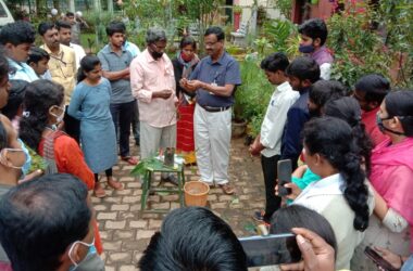 Demonstration of grafting