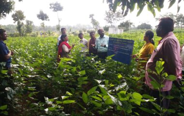 FLD-Eco friendly nutrient management in mulberry