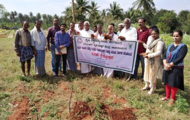 OFT-4_Assessment of suitable Turmeric varieties for higher yield and quality_Nanjadevanapura village-ICAR KVK, Chamarajanagara