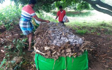 OFT-Assessment of different compost culture in composting of sericulture wastes