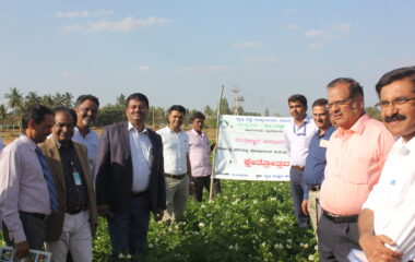 OFT-Potato field day