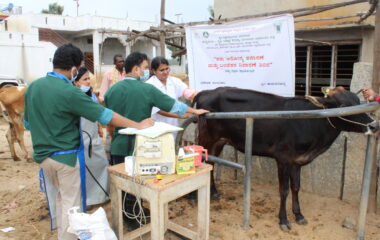 Ultrasonography-for-Repeat-breeding-animal