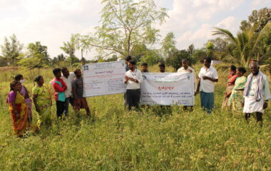 field-day-in-finger-millet-crop