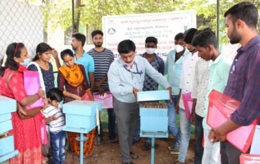 hands-on-training-on-bee-keeping